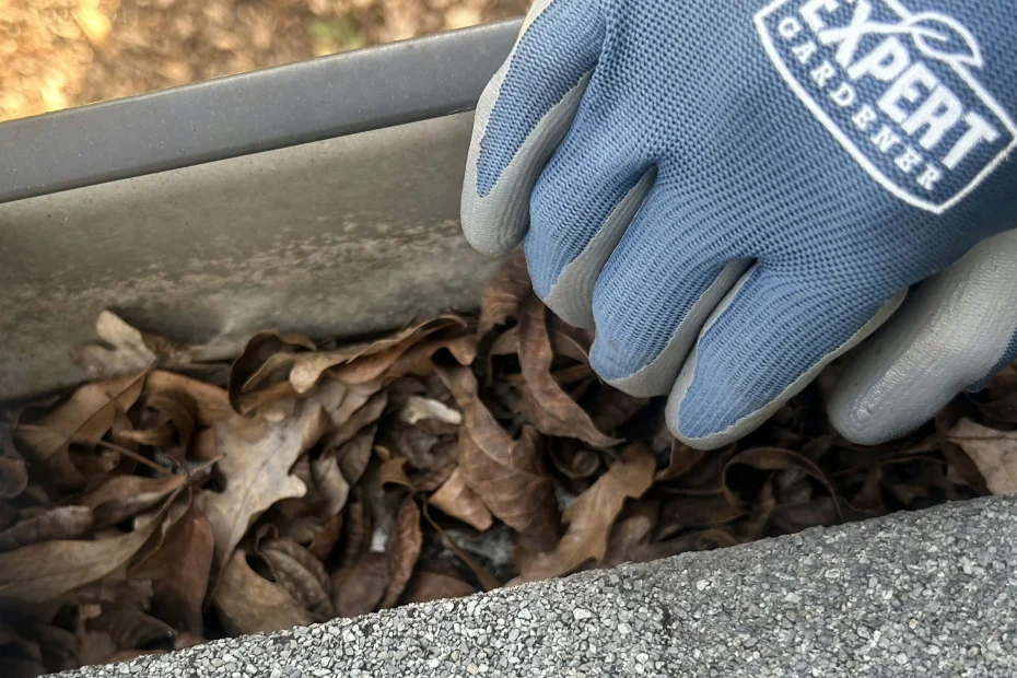 Gutter Cleaning Pittsburgh PA